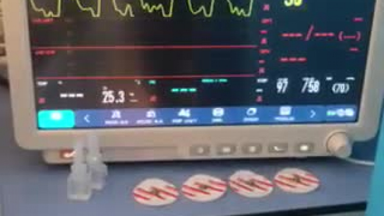 video-1565869434.mp4