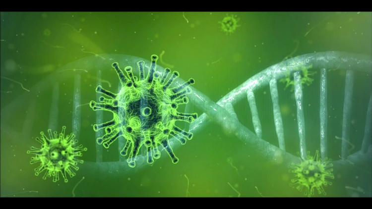 wypowiedz_dagmary_zalewskiej_rzecznik_wojewody_lodzkiego_2.mp4