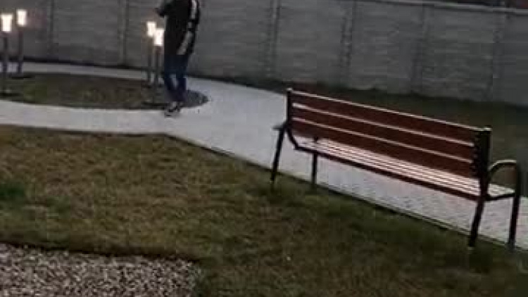 10000000_2814423765272243_284481244928641377_n.mp4