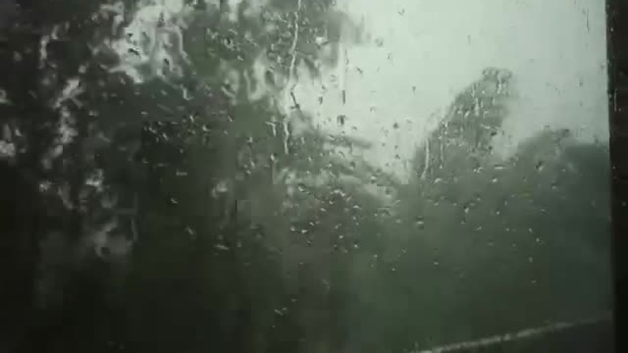 video-1625840242.mp4