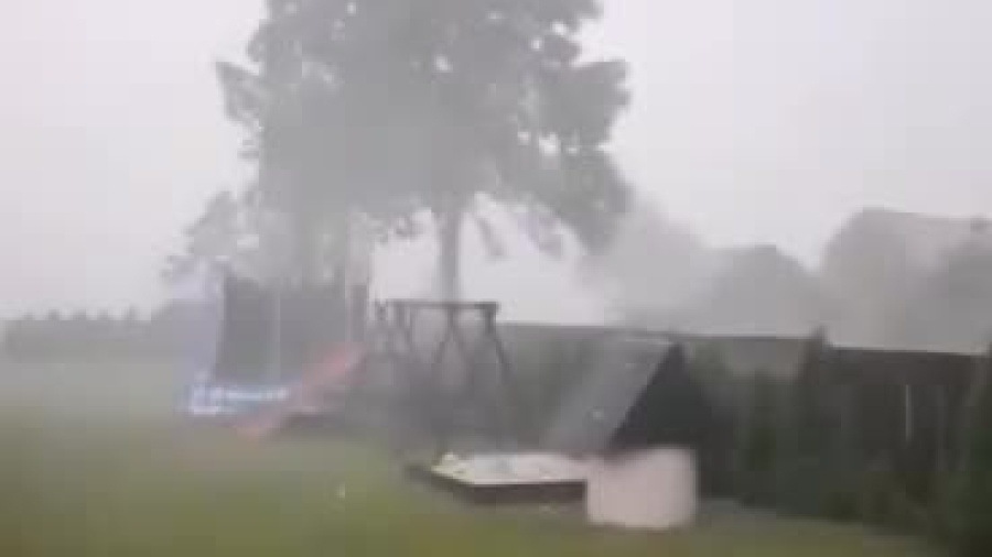 video-1625846022.mp4