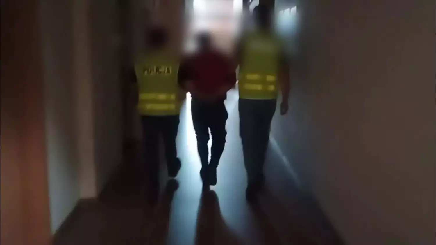 254-225009.mp4
