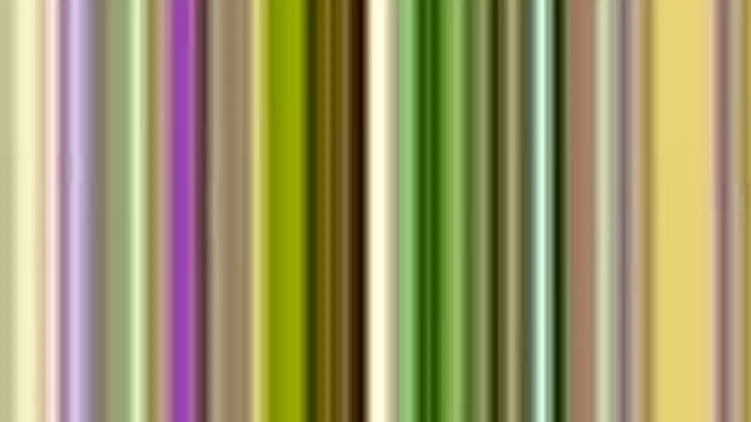 konferencja-prasowa-tunel.mp4